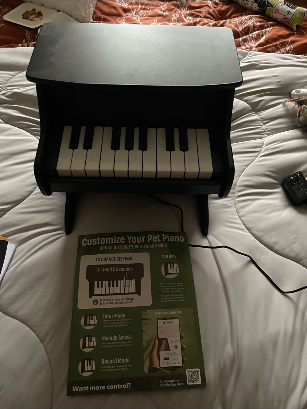 Pet treat piano